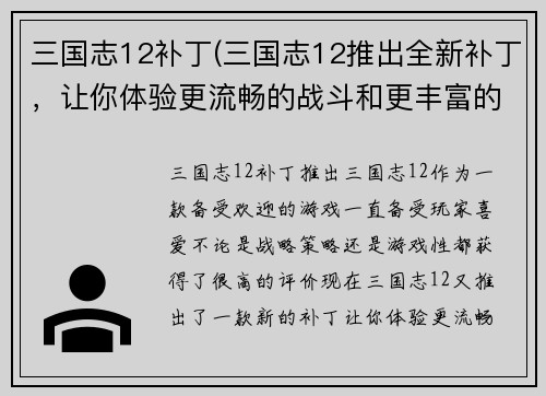 三国志12补丁(三国志12推出全新补丁，让你体验更流畅的战斗和更丰富的游戏内容)